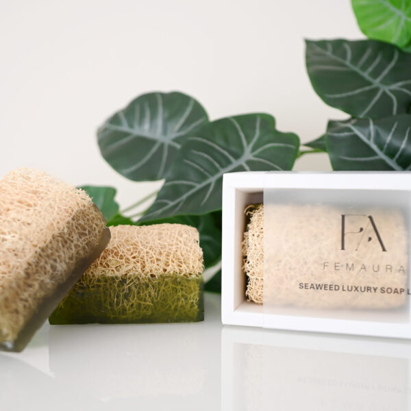 Glycerin Soap With Seaweed Luffa